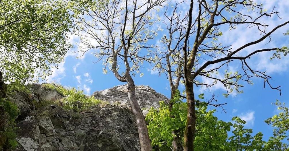 Vikarti Stay, A Lovely House With Incredible View Dinant Exterior photo